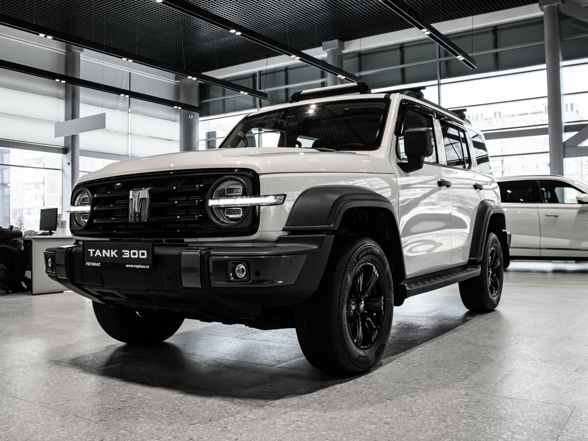 Tank 300 I