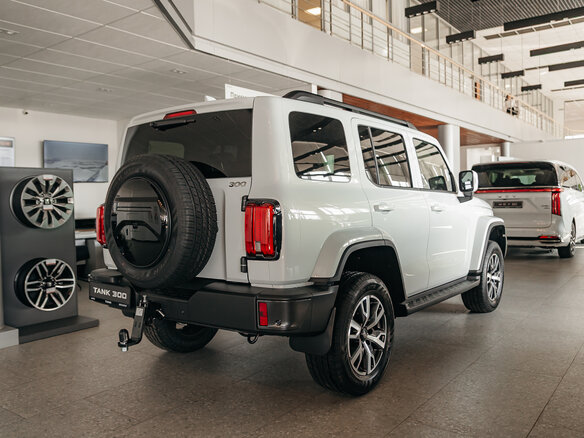 2026 Tank 300 I, белый, 4799000 рублей - вид 13