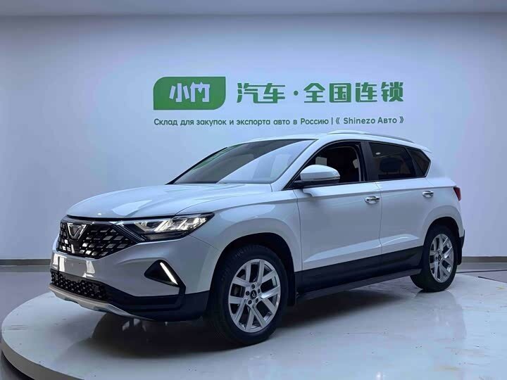 Jetta VS5 I