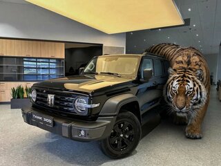 2025 Tank 300 I, чёрный, 4299000 рублей, вид 1