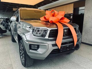 2025 Tank 700, серый, 10699000 рублей, вид 1