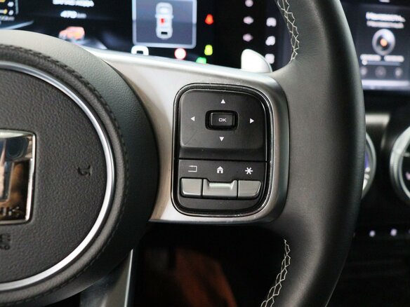 2024 Tank 300 I, чёрный, 4200000 рублей - вид 24