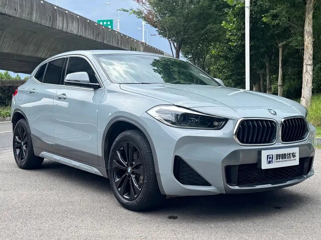 BMW X2 sDrive18i I (F39)