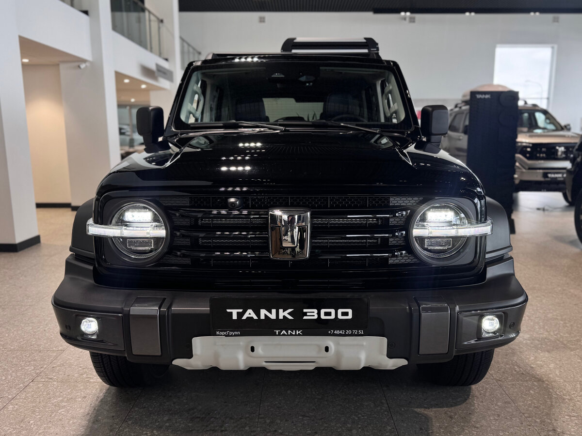 Tank 300 I