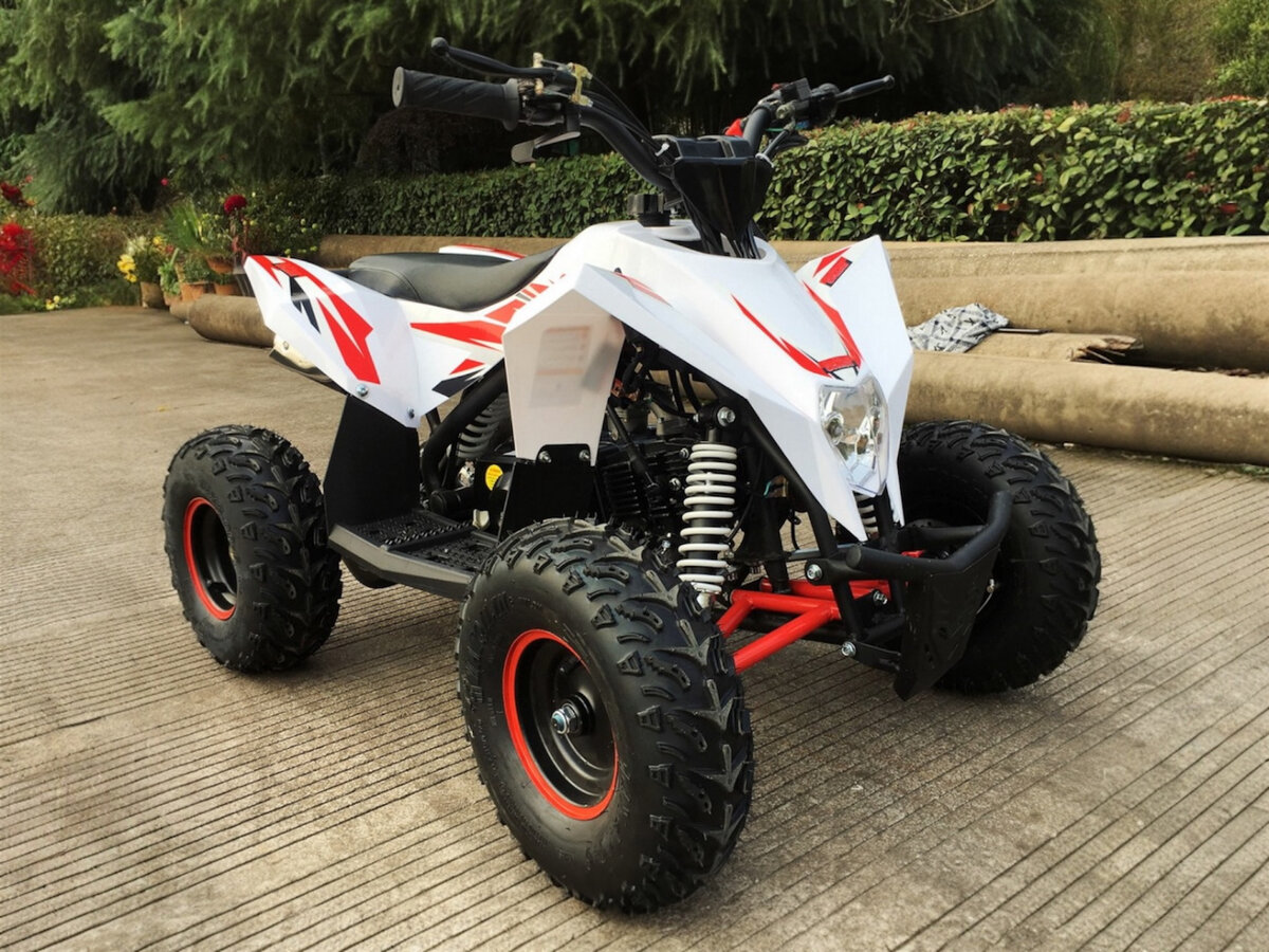 Motax Gekkon