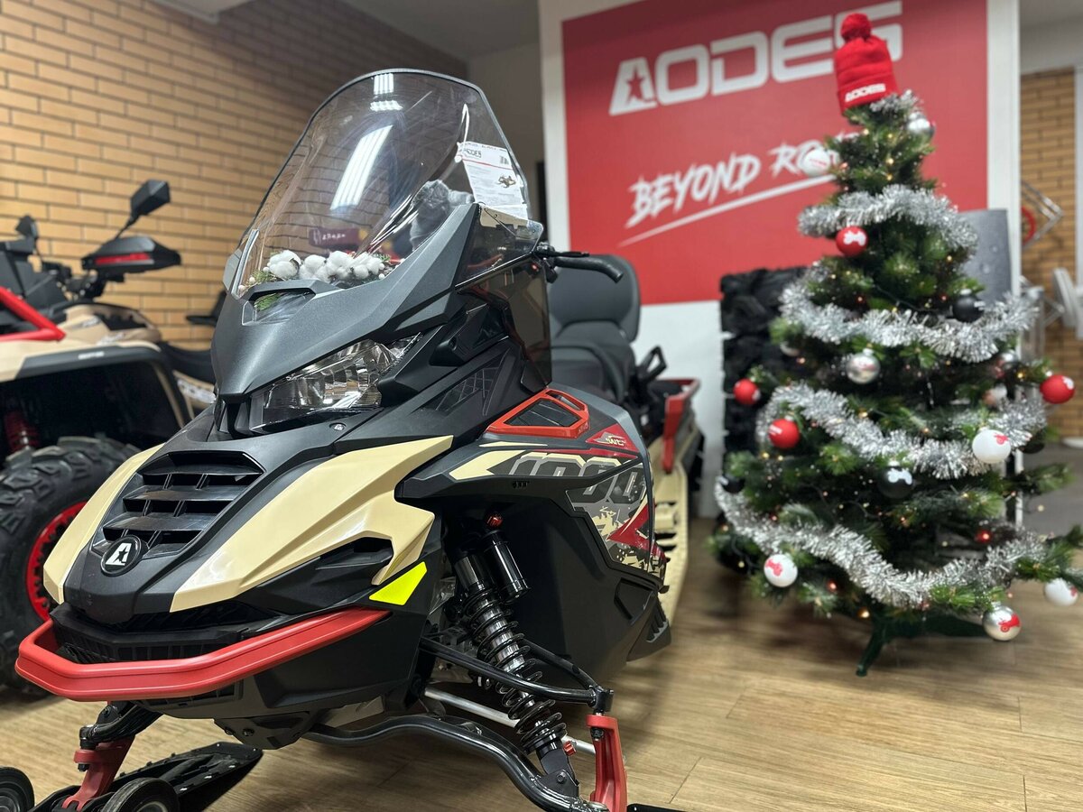 AODES (Odes) Snowcross 1000