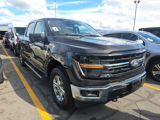 2024 Ford F-150 SuperCrew XIV Рестайлинг, коричневый, 5300000 рублей, вид 1