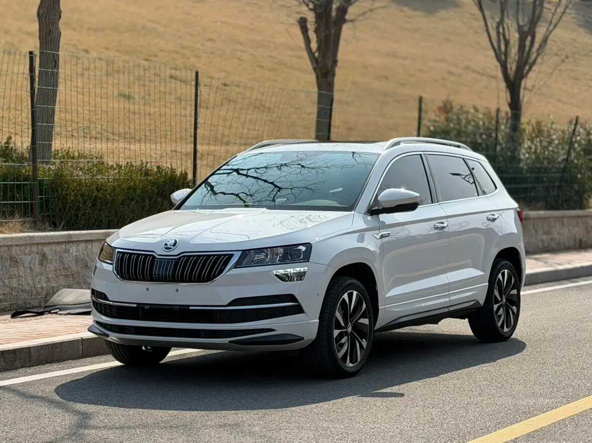 Skoda Karoq I