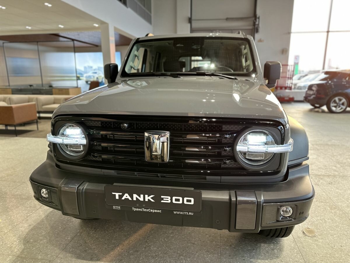 Tank 300 I