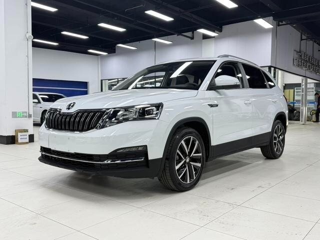 Skoda Kamiq I