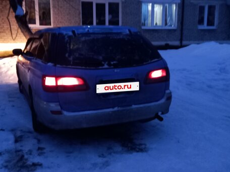 Жетілген және жас порно онлайн көру