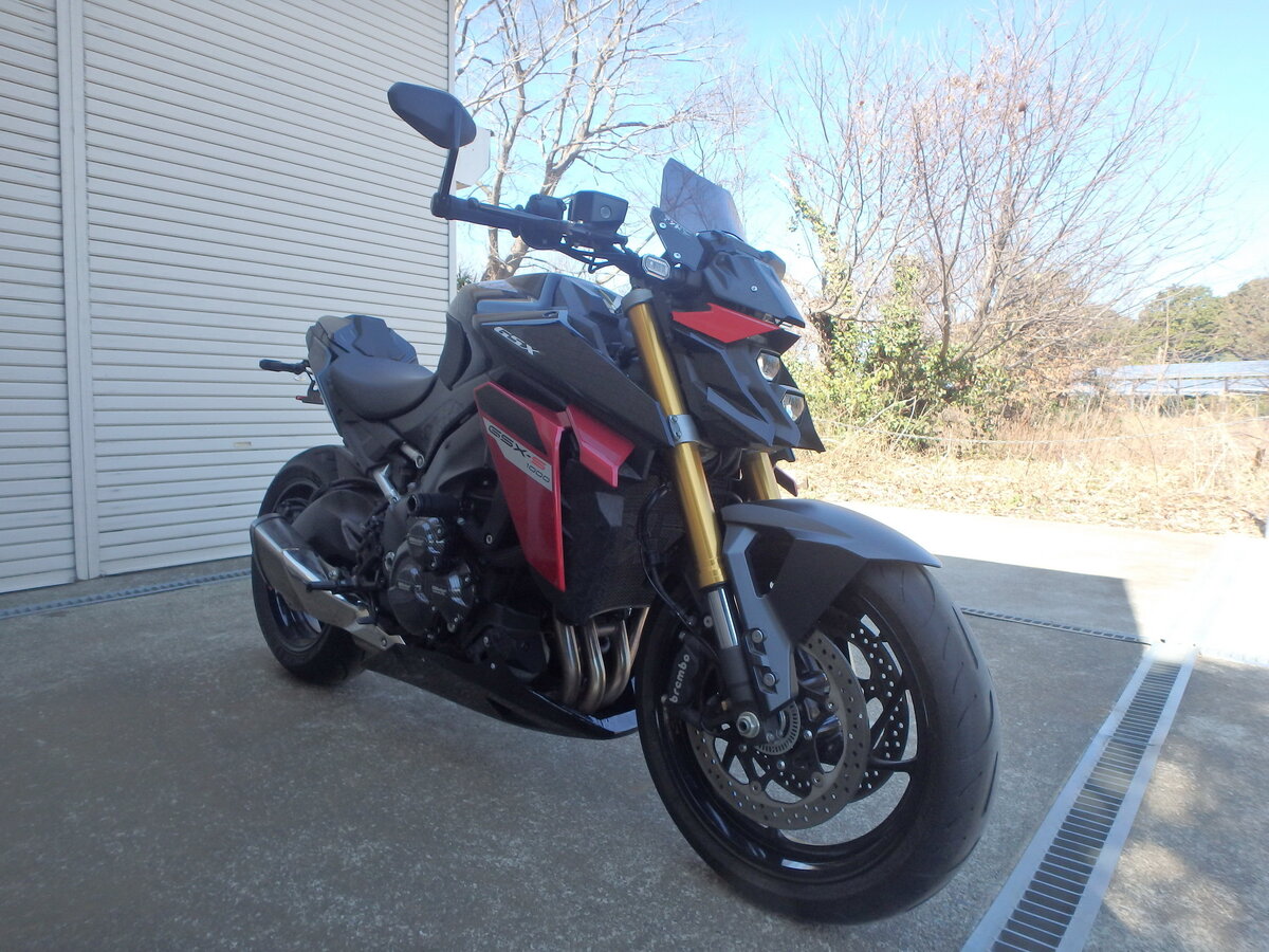 Suzuki GSX-S 1000