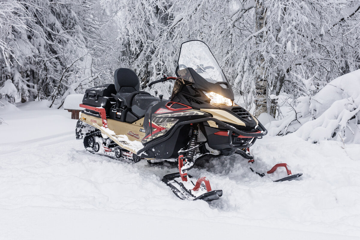 AODES (Odes) Snowcross 1000