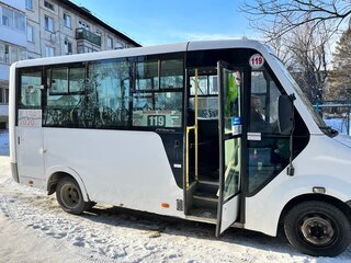 2015 ГАЗ Next Citiline, белый, 1000000 рублей, вид 1