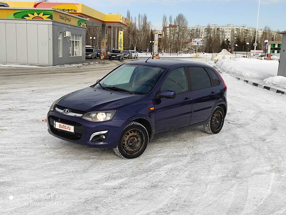 Калина бу пенза