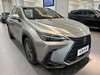 2021 Lexus NX 250 II, бежевый, 3493000 рублей, вид 1
