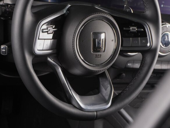 2025 Tank 300 I, чёрный, 4879000 рублей - вид 17