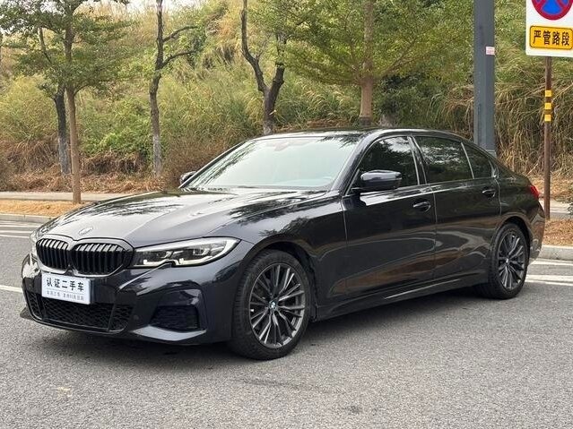 BMW 3 серии Long 320Li VII (G2x)