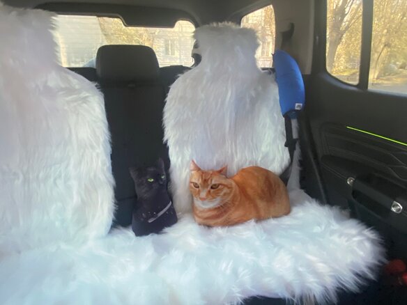 2023 Tank 300 I, чёрный, 4000000 рублей - вид 8