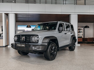 2025 Tank 300 I, серый, 4299000 рублей, вид 1