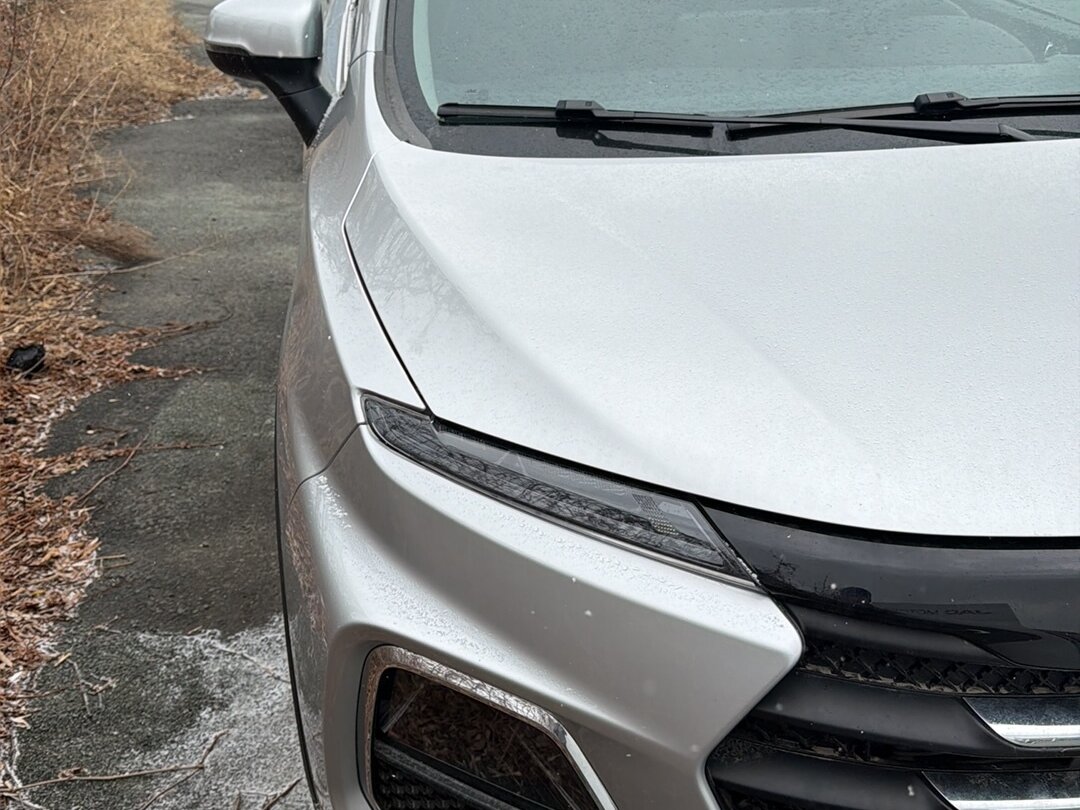 JAC JS3