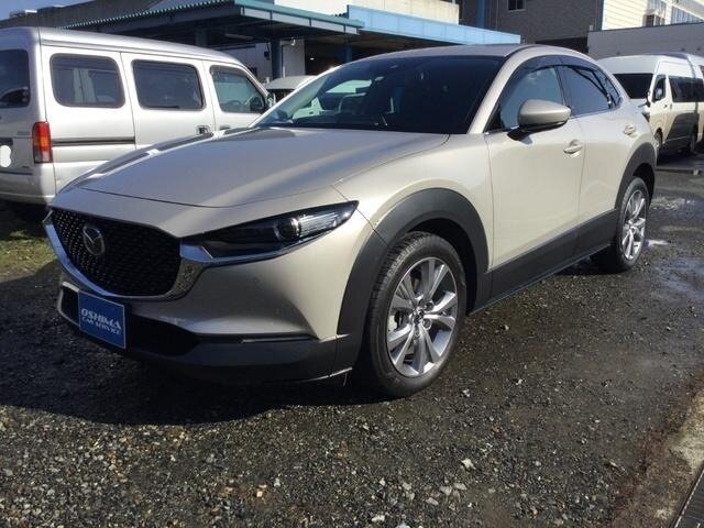 Mazda CX-30 I