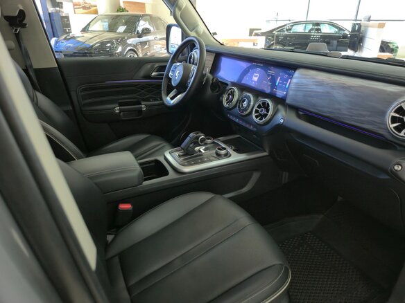 2024 Tank 300 I, серый, 4250000 рублей - вид 29