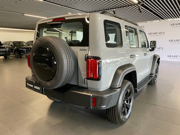 2026 Tank 300 I, серый, 4799000 рублей - вид 1