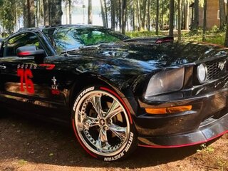 2004 Ford Mustang V, чёрный, 3000000 рублей, вид 1