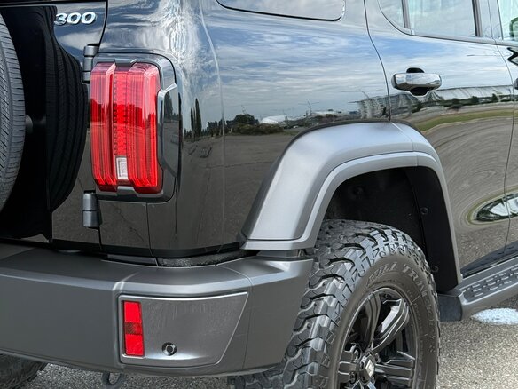 2023 Tank 300 I, чёрный, 3950000 рублей - вид 23