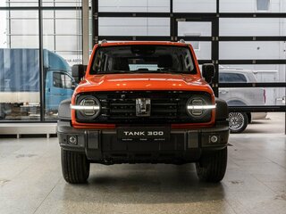 Tank 300 I
