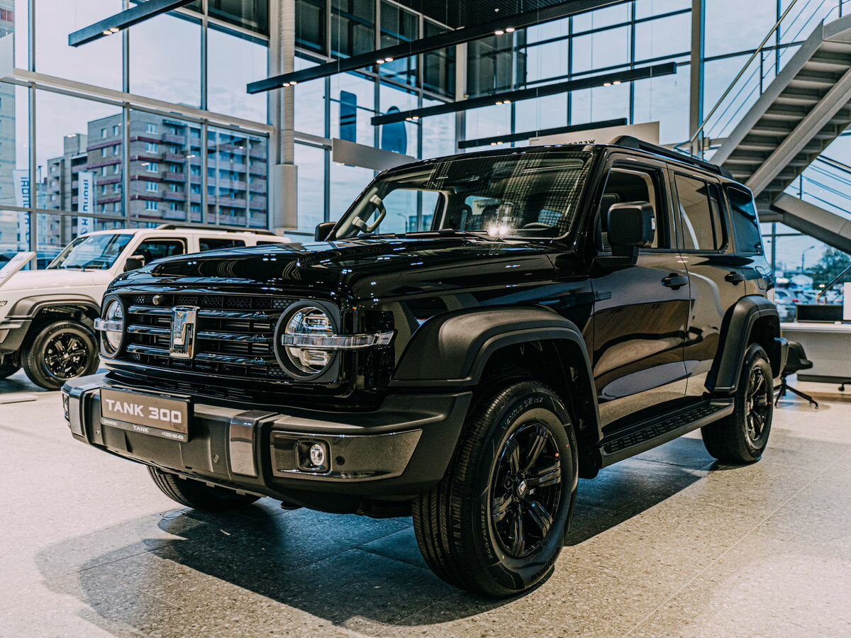 Tank 300 I