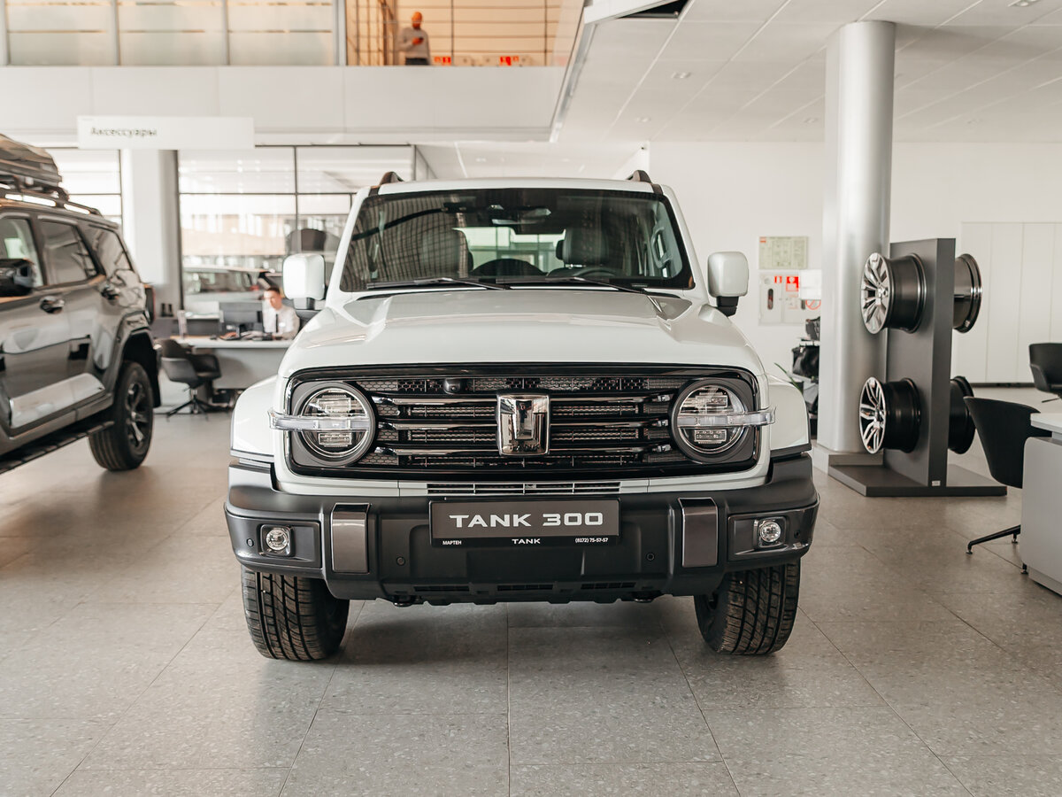 Tank 300 I