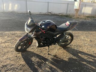 Wels Ghost 250