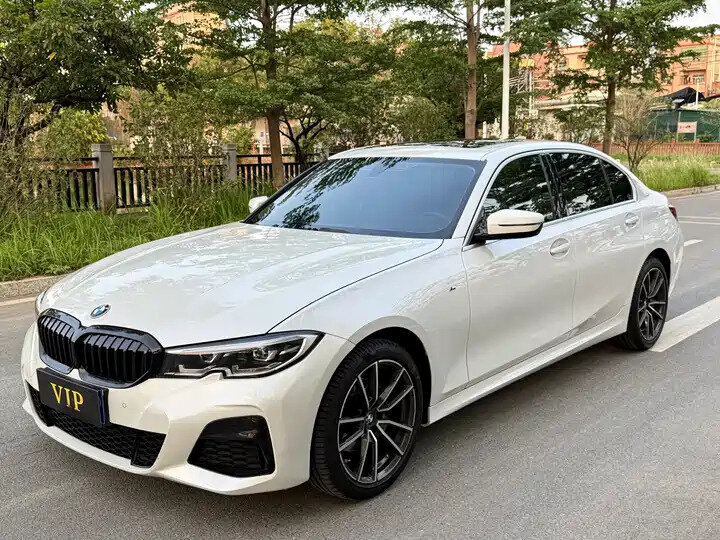 BMW 3 серии Long 320Li VII (G2x)