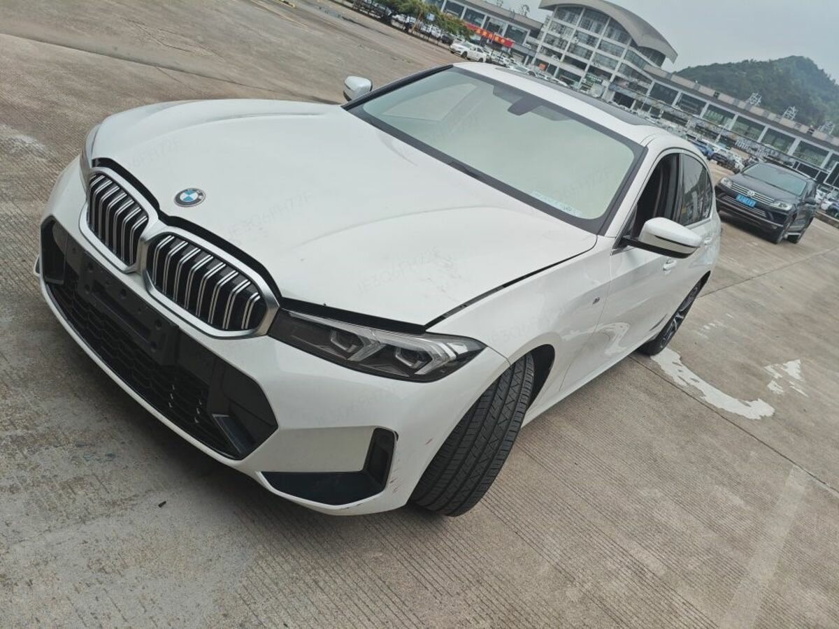 BMW 3 серии Long 320Li VII (G2x) Рестайлинг