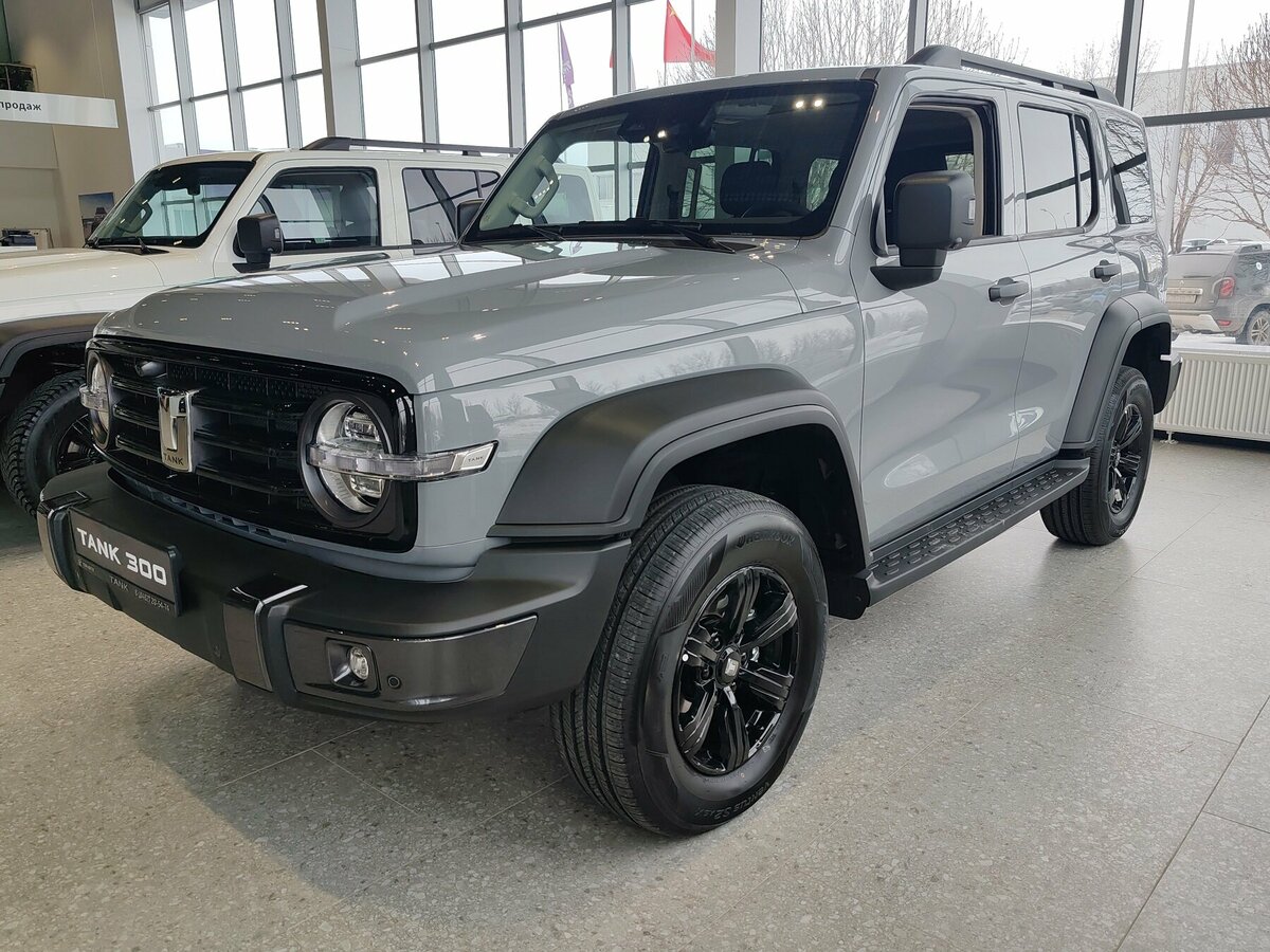 Tank 300 I