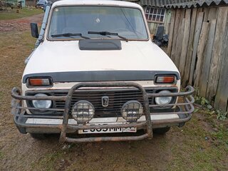 1995 Lada (ВАЗ) 2121 (4x4) I Рестайлинг, бежевый, 150000 рублей, вид 1