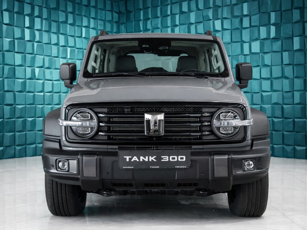 Tank 300 I