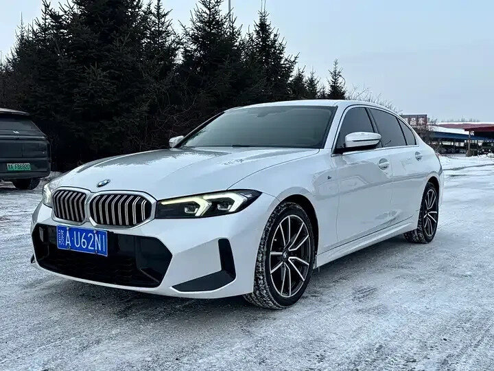 BMW 3 серии Long 320Li VII (G2x) Рестайлинг
