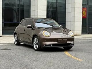 2021 Ora Good Cat 47.8 kWh I, коричневый, 1370000 рублей, вид 3