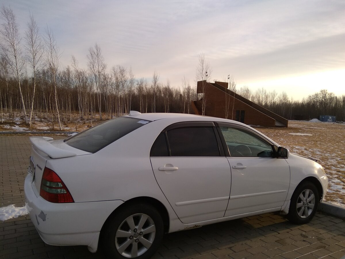 Что лучше карина или королла - 82 фото