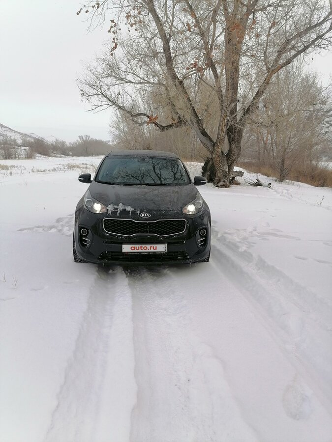 Купить б/у Kia Sportage IV 2.0 MT (150 л.с.) 4WD бензин механика в ...