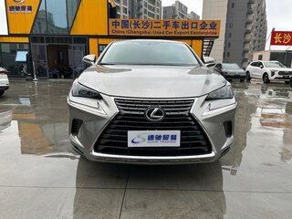 2021 Lexus NX 200 I Рестайлинг, серый, 2915000 рублей, вид 1
