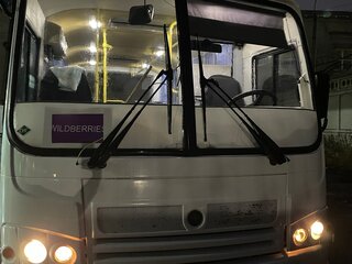 2013 ПАЗ 3205, белый, 450000 рублей, вид 1