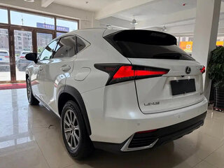 2021 Lexus NX 200 I Рестайлинг, белый, 3500000 рублей, вид 4
