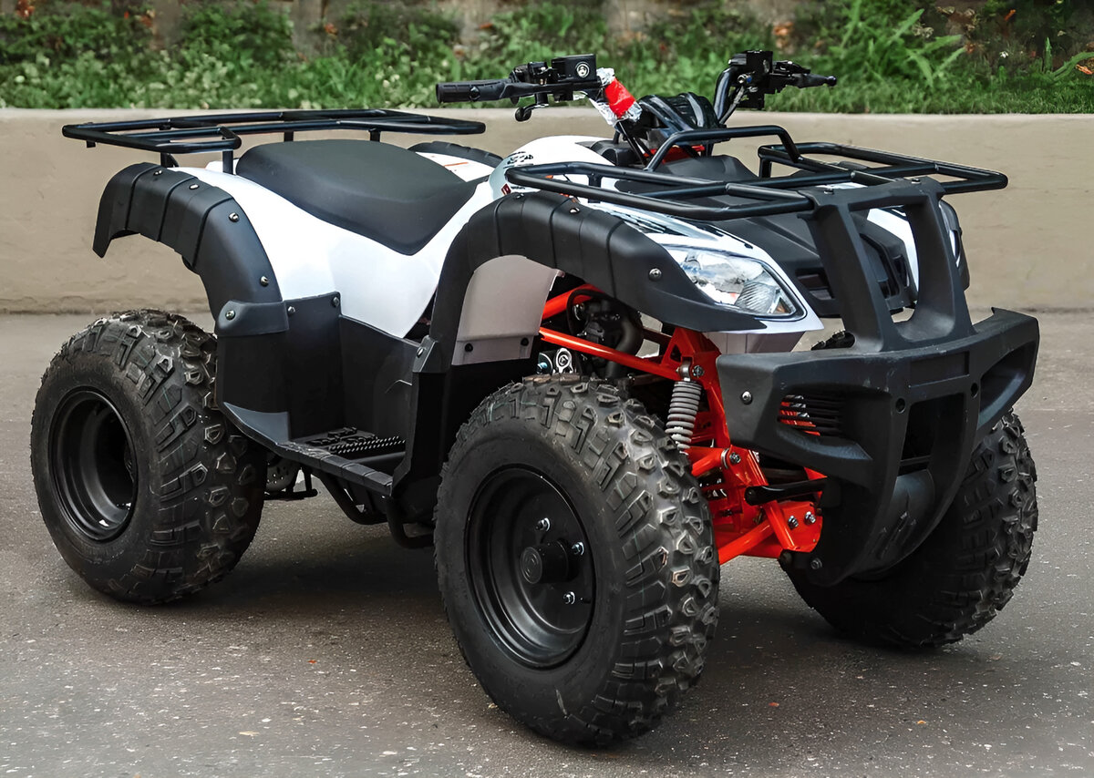 Kayo Bull-2B