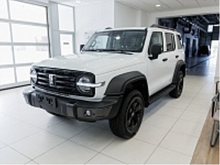 2024 Tank 300 I, белый, 4899000 рублей, вид 1