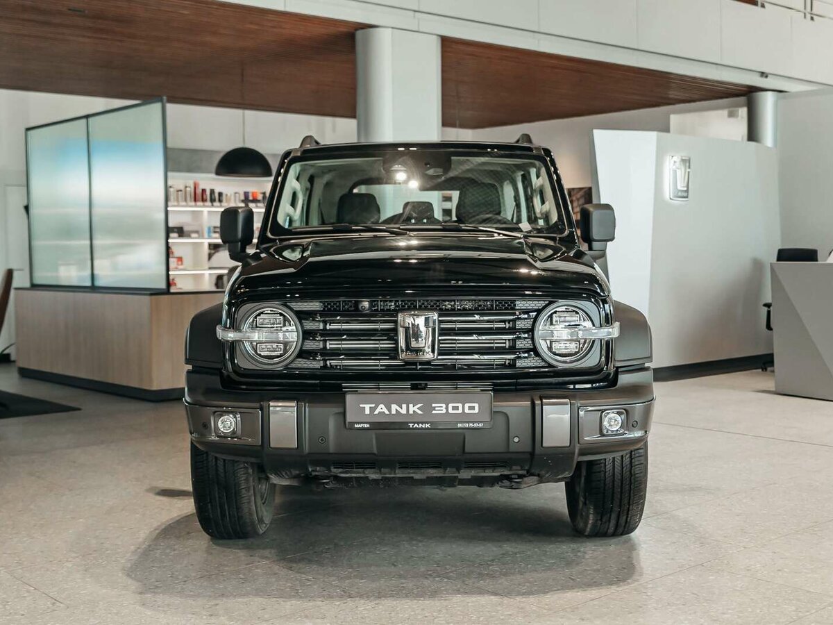 Tank 300 I