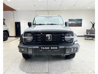 2026 Tank 300 I, серый, 4899000 рублей, вид 1